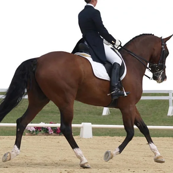 Konigs Dressage Horse Riding Boots Full Leather Grandgester women’s 8 - Picture 16 of 17